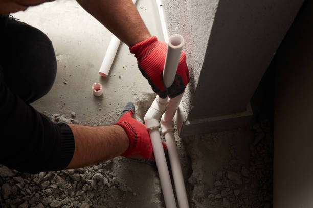 Best Local Plumber Services  in Stockton, MO