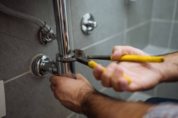 Best Plumbing Services Near Me  in Stockton, MO